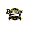 オリックス・バファローズ